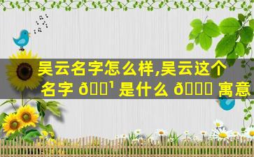 吴云名字怎么样,吴云这个名字 🌹 是什么 🕊 寓意